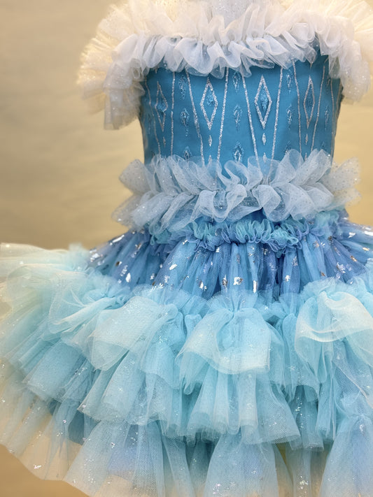 Disney Elsa  Tutu set