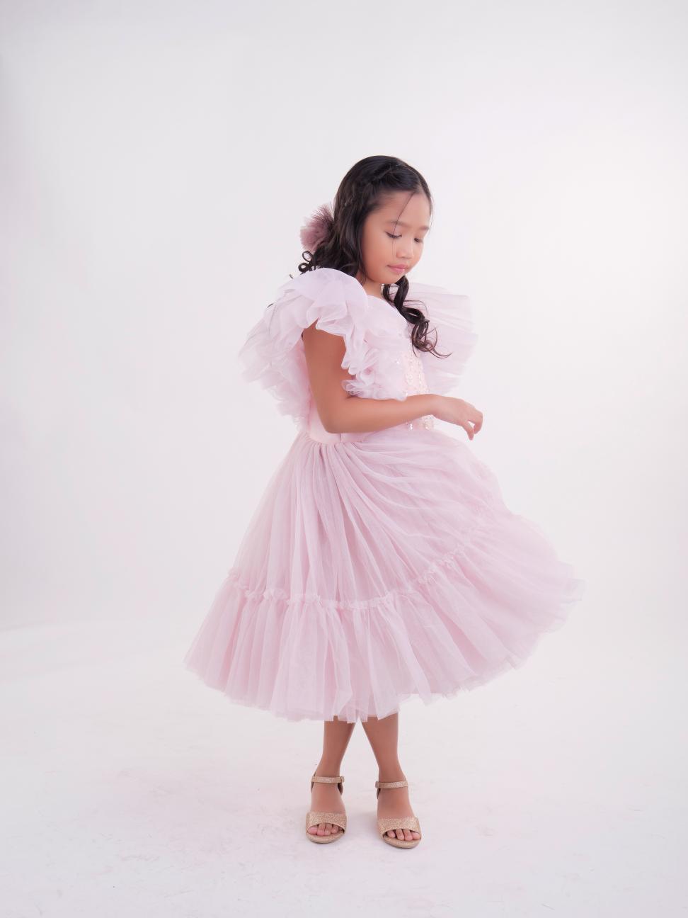 Maxene Dress in Blush