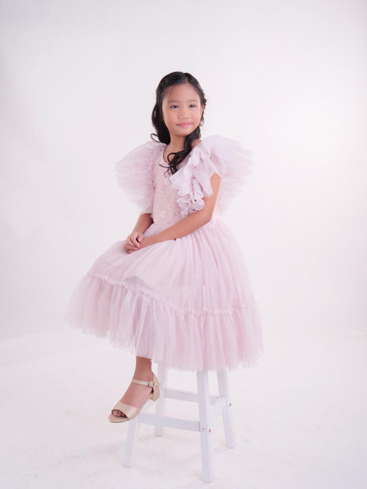 Maxene Dress in Blush