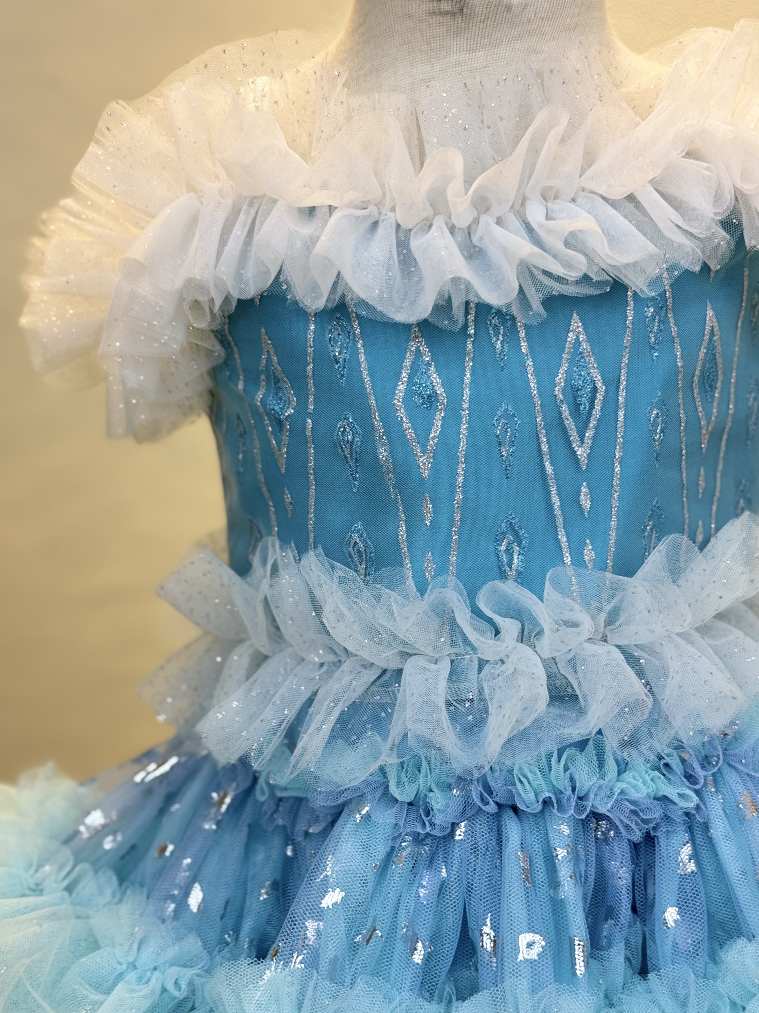 Disney Elsa  Tutu set