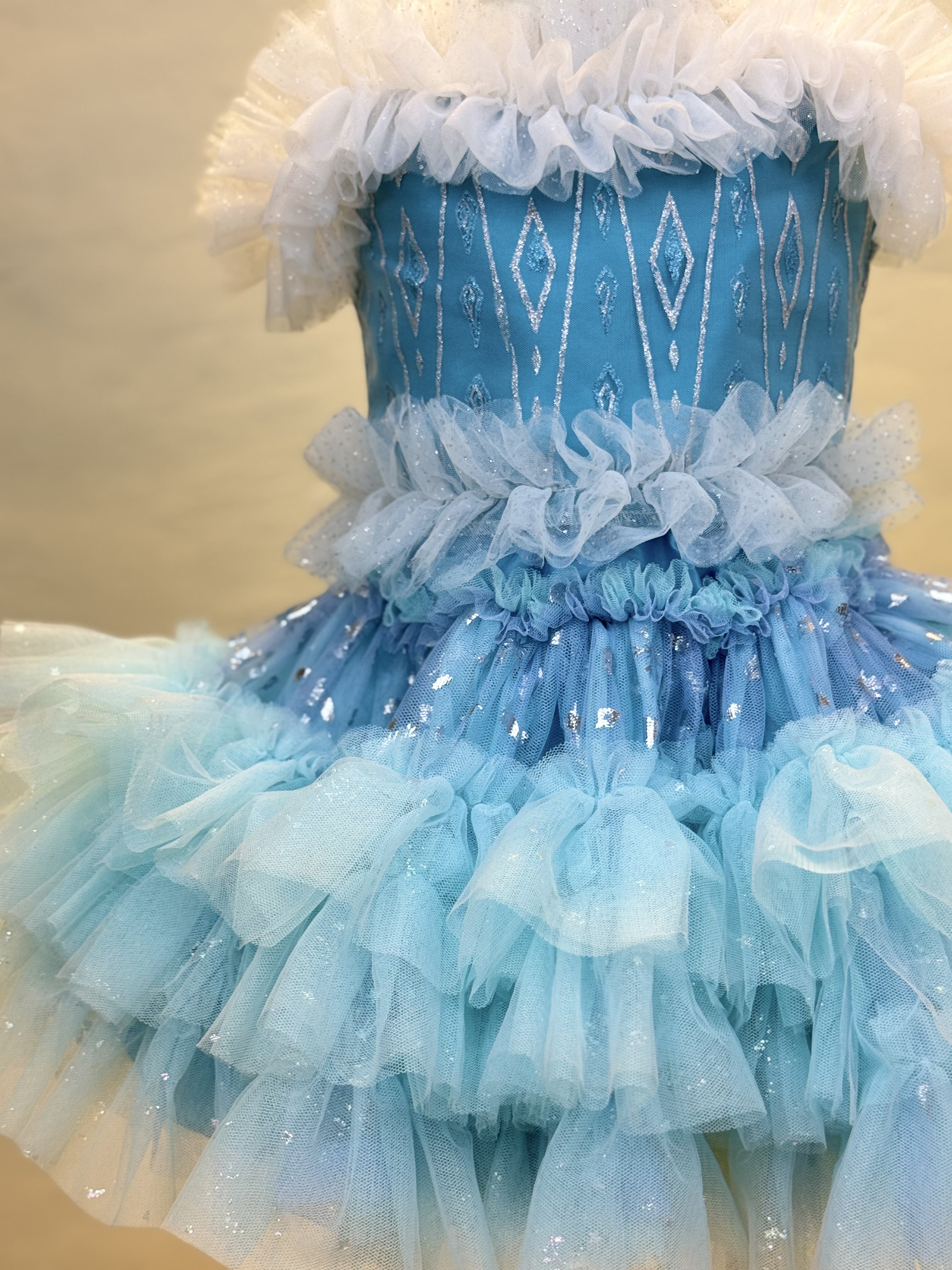Disney Elsa  Tutu set