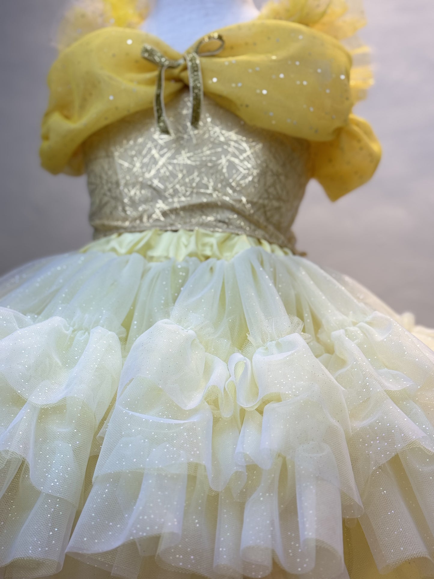 Disney Belle Tutu set