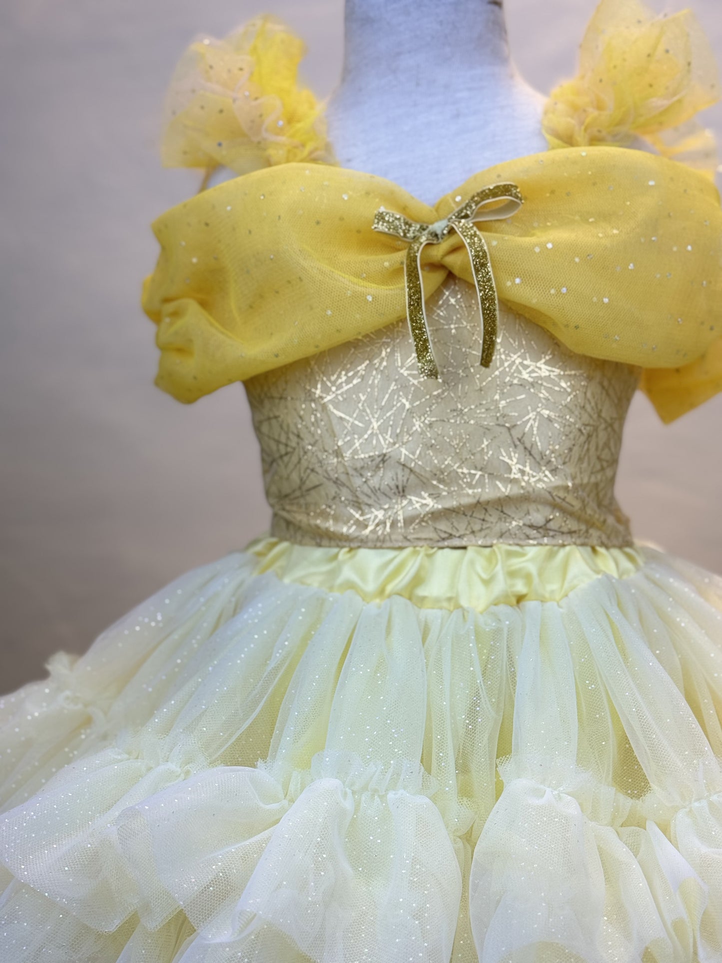 Disney Belle Tutu set