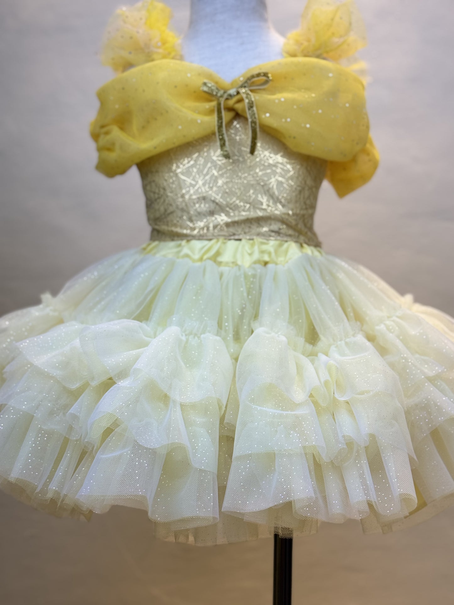 Disney Belle Tutu set