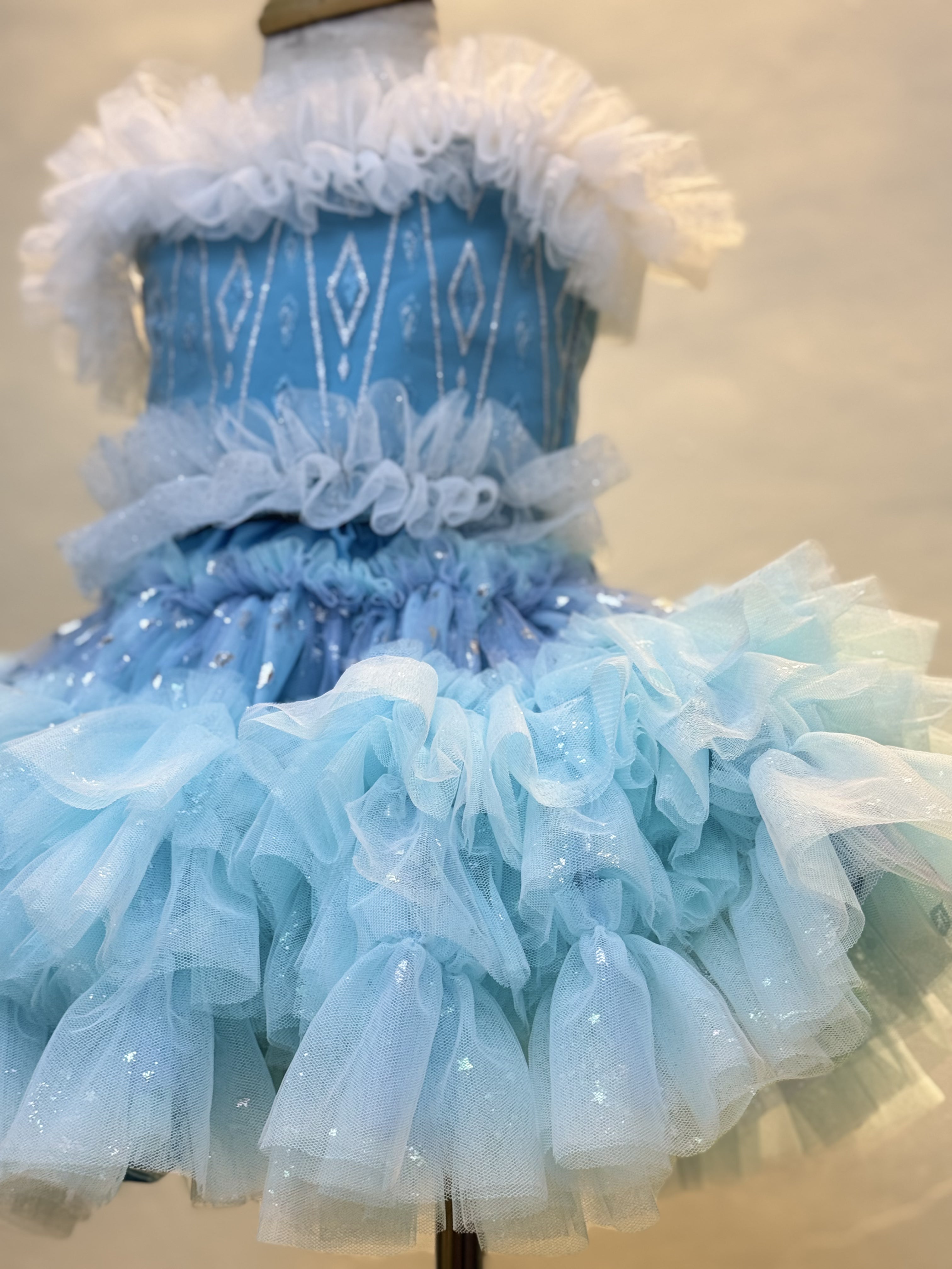Disney Elsa  Tutu set