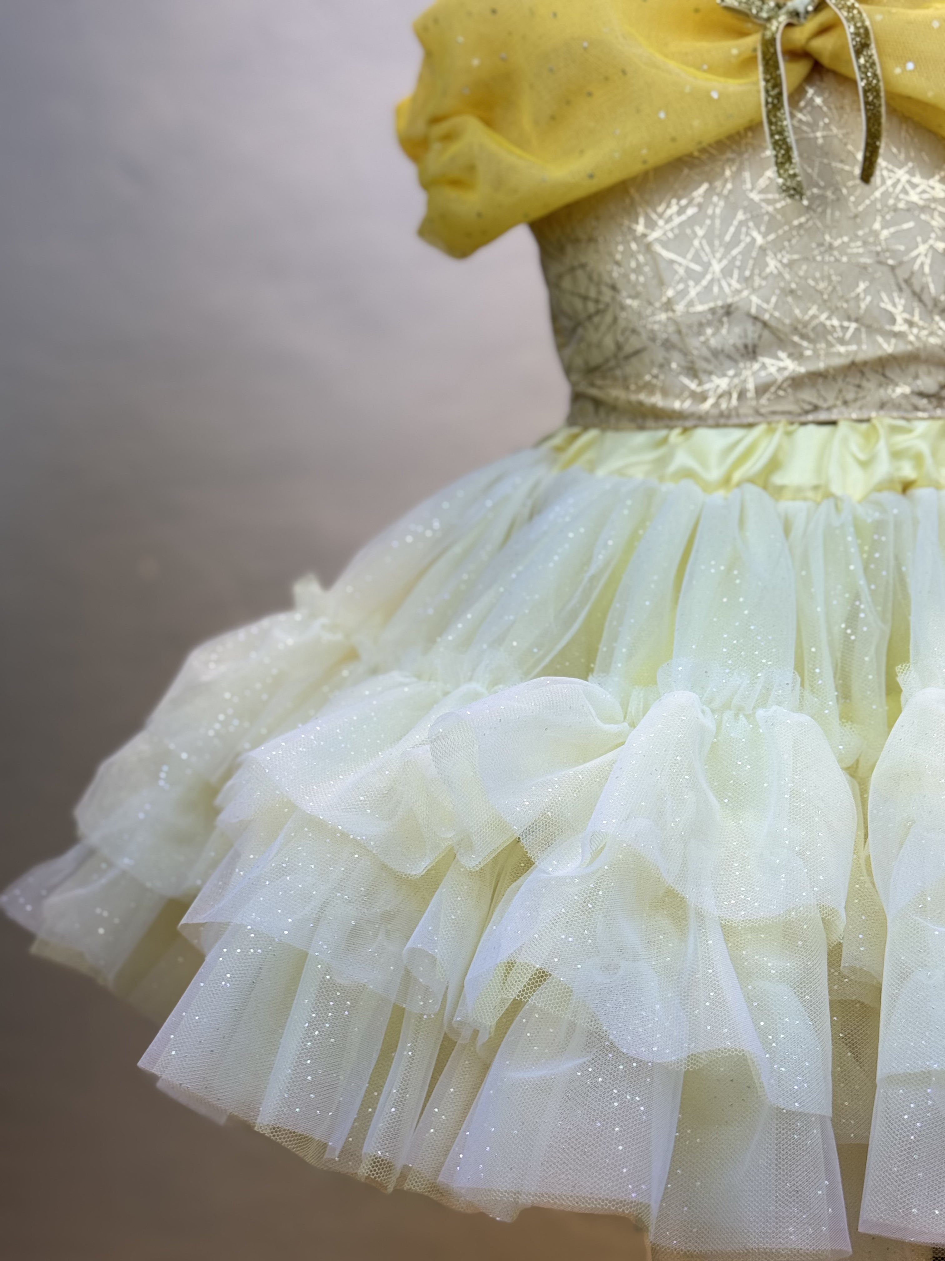 Disney Belle Tutu set